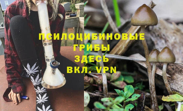 гидропоника Алексеевка